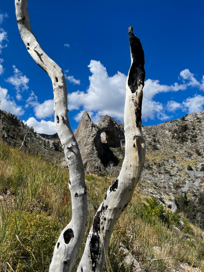 Lexington Arch [Great Basin National Park]