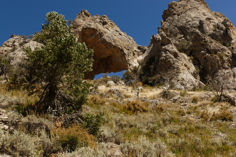 Lexington Arch [Great Basin National Park]