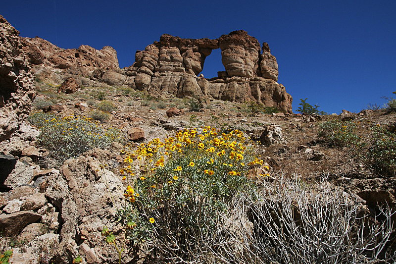 Arizona (Ringbolt) Hot Springs Trail