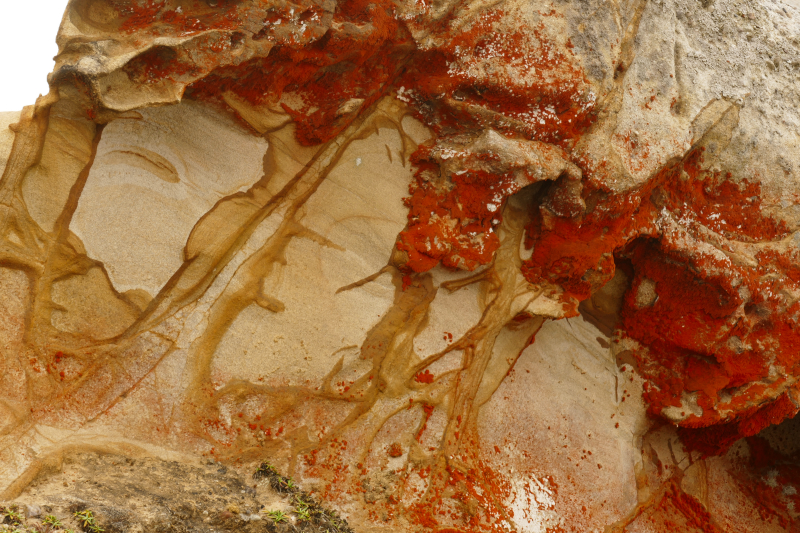 Bild von Felsen am Lighthouse Trail - Point Reyes