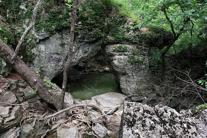 Lime Arch Bridge