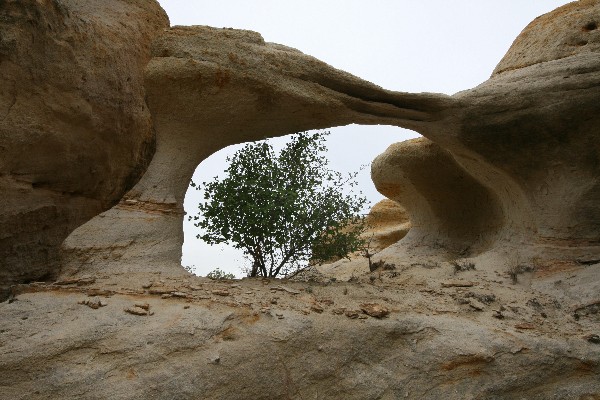 Little Hidden Arch