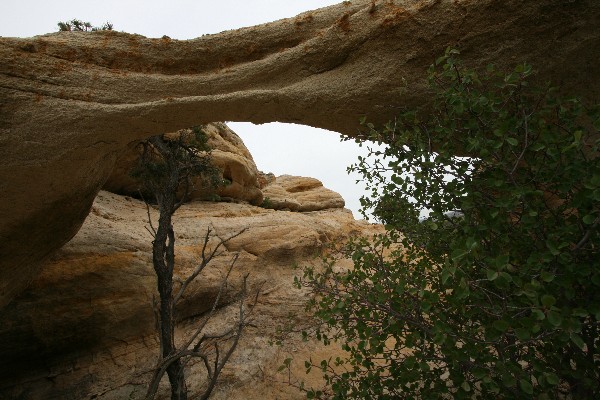 Little Hidden Arch