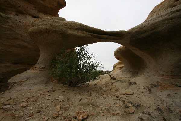 Little Hidden Arch