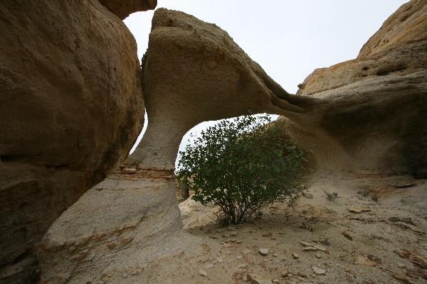 Little Hidden Arch