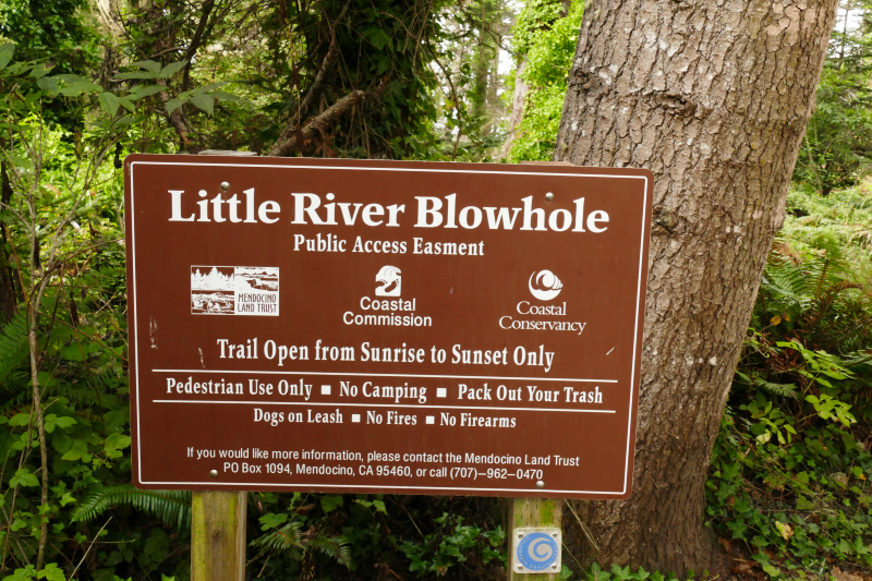 Little River Blowhole