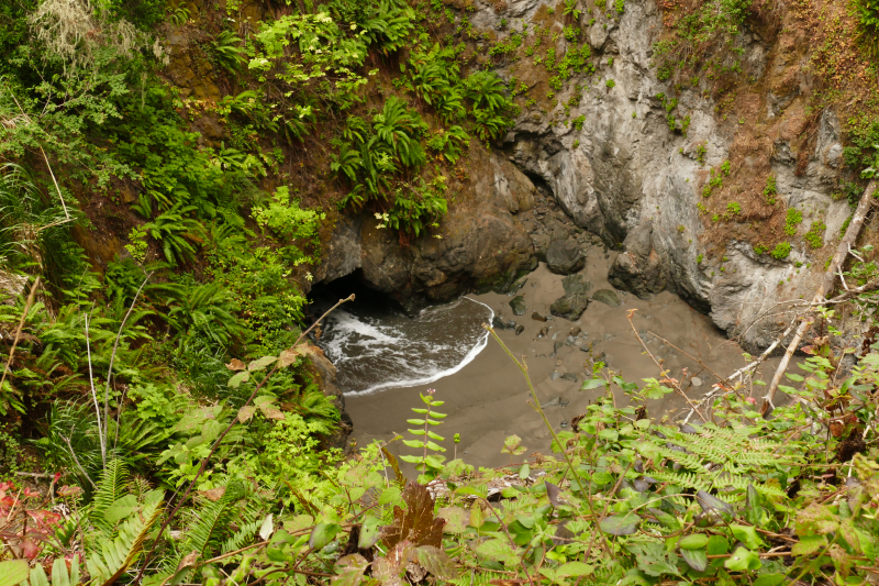 Little River Blowhole