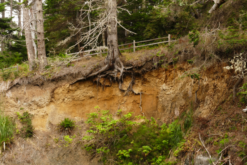 Little River Blowhole