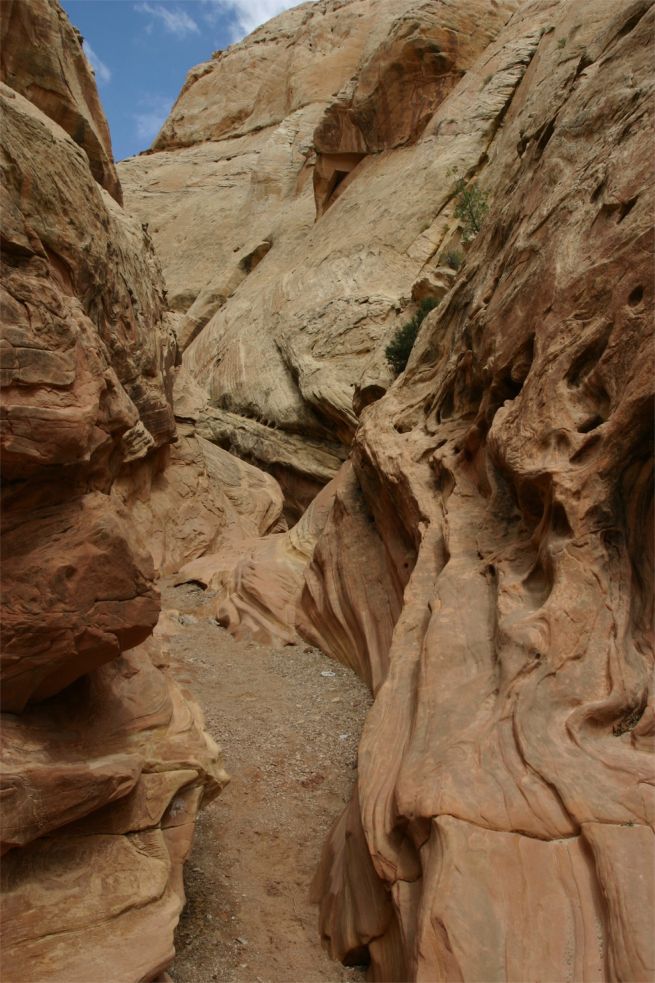 Little Wild Horse Canyon