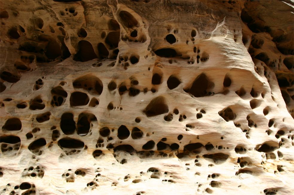 Little Wild Horse Canyon