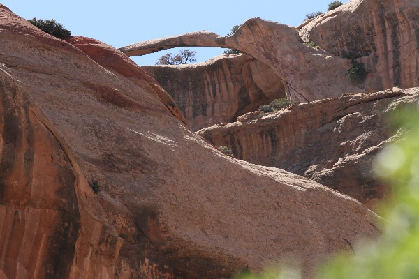 Long Arch