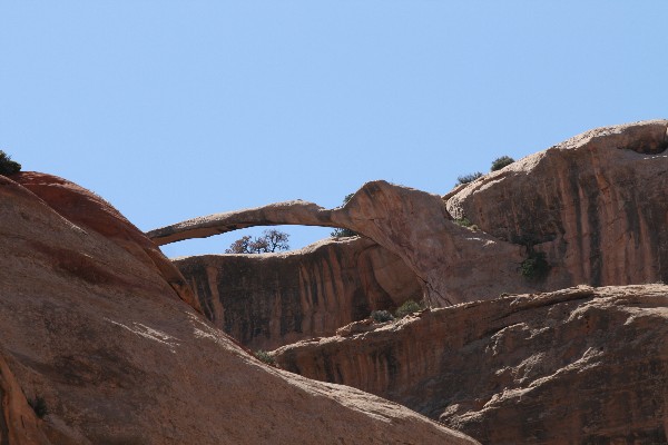 Long Arch