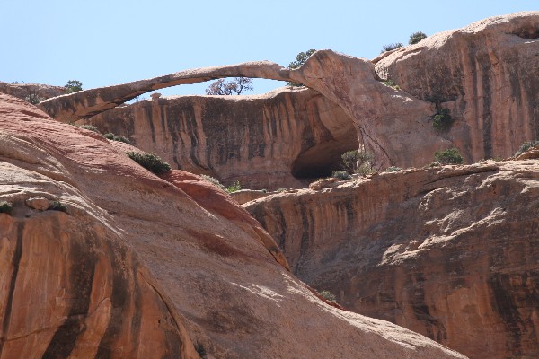 Long Arch