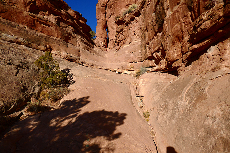 Longbow Arch - Poison Spider Mesa