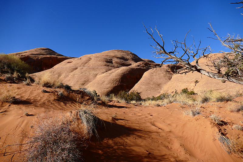 Longbow Arch - Poison Spider Mesa