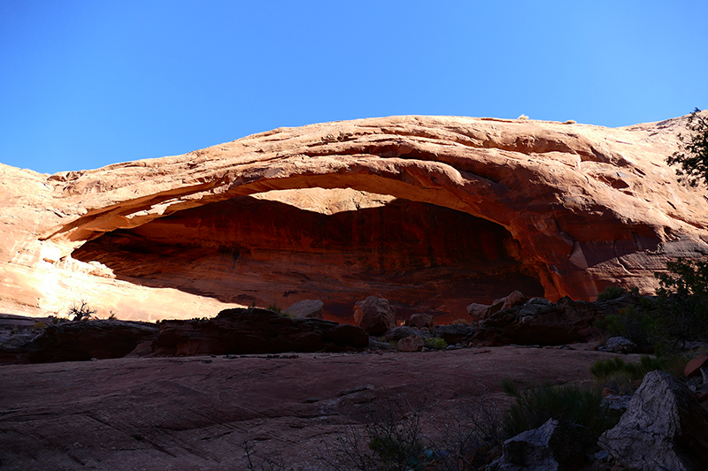 Longbow Arch - Poison Spider Mesa