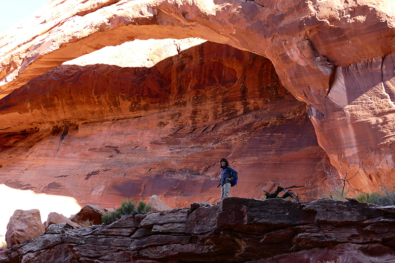 Longbow Arch - Poison Spider Mesa