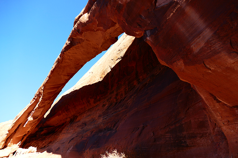 Longbow Arch - Poison Spider Mesa