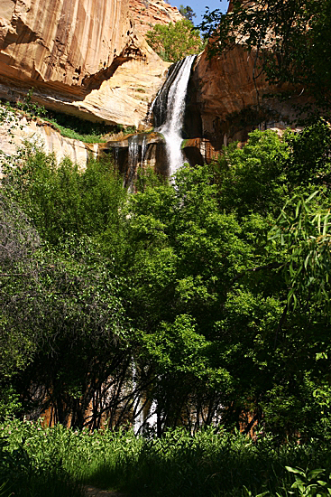 Lower Calf Creek Falls