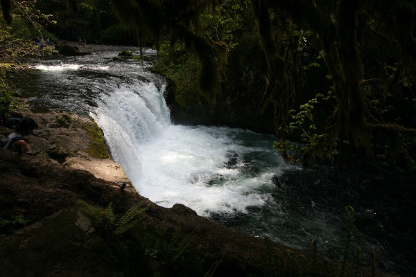 Lower Punch Ball Falls