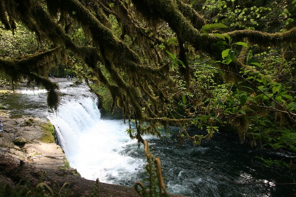 Lower Punch Ball Falls