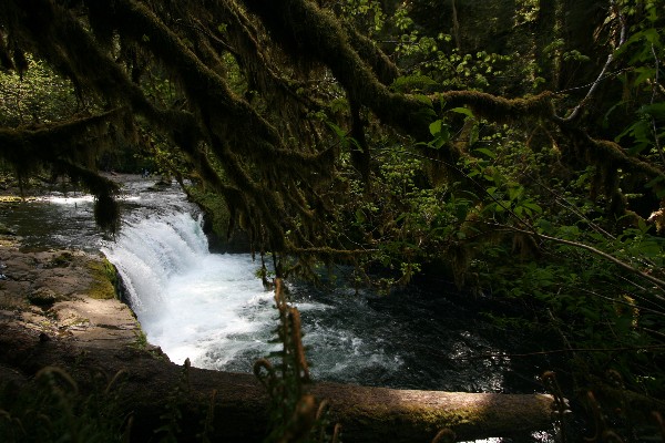 Lower Punch Ball Falls