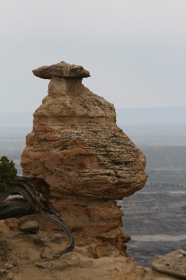 Lybrook Fossil Area aka. Lybrook Badlands Overlook [San Juan Basin]