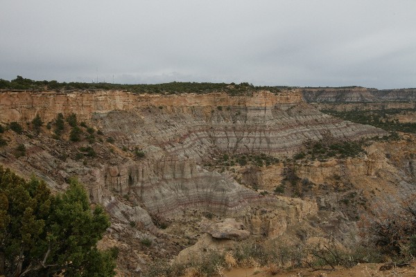 Lybrook Fossil Area aka. Lybrook Badlands Overlook [San Juan Basin]