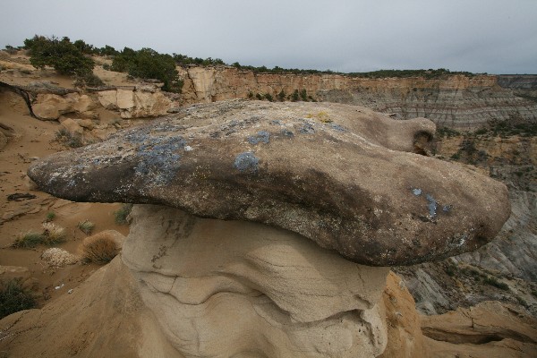 Lybrook Fossil Area aka. Lybrook Badlands Overlook [San Juan Basin]