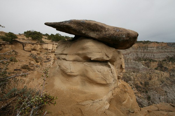 Lybrook Fossil Area aka. Lybrook Badlands Overlook [San Juan Basin]