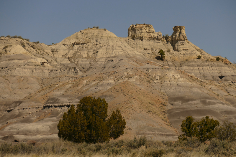 USA Hiking Database: Bilder Lybrook Fossil Area aka. Lybrook Badlands [Alamito Arroyo - San Juan Basin] - Pictures Lybrook Fossil Area aka. Lybrook Badlands [Alamito Arroyo - San Juan Basin]