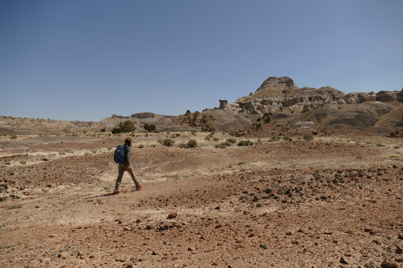 USA Hiking Database: Bilder Lybrook Fossil Area aka. Lybrook Badlands [Alamito Arroyo - San Juan Basin] - Pictures Lybrook Fossil Area aka. Lybrook Badlands [Alamito Arroyo - San Juan Basin]