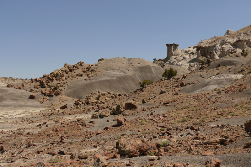 USA Hiking Database: Bilder Lybrook Fossil Area aka. Lybrook Badlands [Alamito Arroyo - San Juan Basin] - Pictures Lybrook Fossil Area aka. Lybrook Badlands [Alamito Arroyo - San Juan Basin]