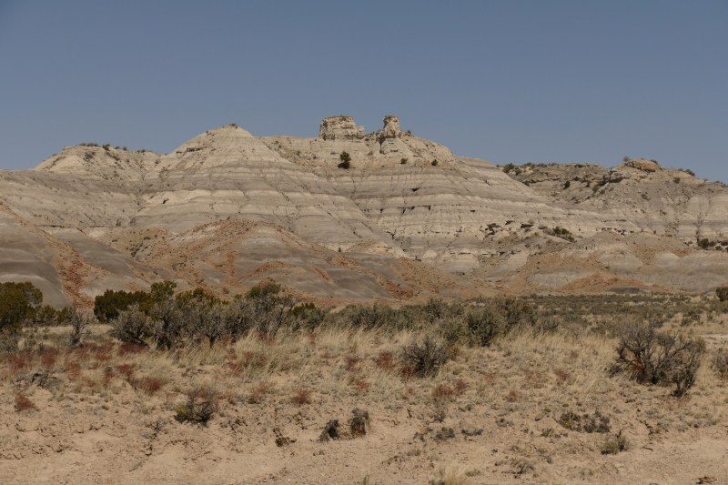 USA Hiking Database: Bilder Lybrook Fossil Area aka. Lybrook Badlands [Alamito Arroyo - San Juan Basin] - Pictures Lybrook Fossil Area aka. Lybrook Badlands [Alamito Arroyo - San Juan Basin]