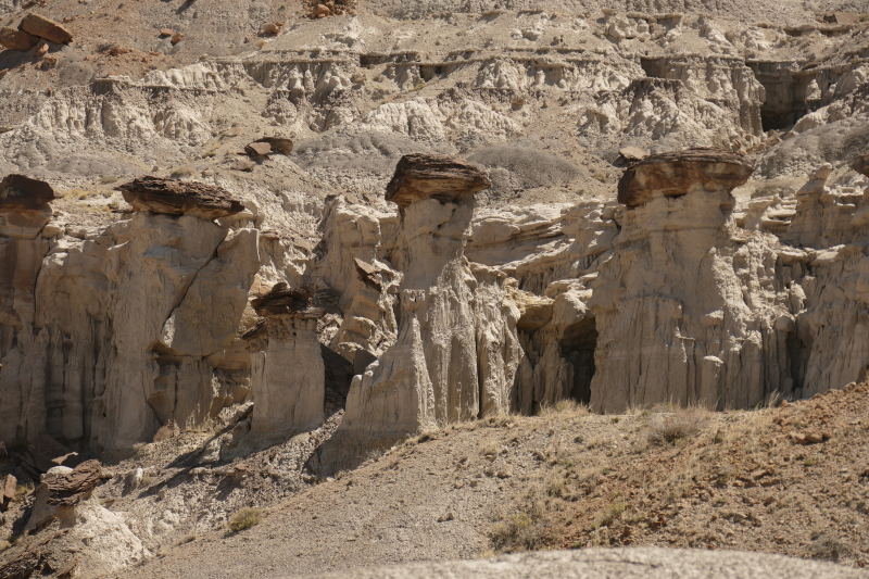 USA Hiking Database: Bilder Lybrook Fossil Area aka. Lybrook Badlands [Alamito Arroyo - San Juan Basin] - Pictures Lybrook Fossil Area aka. Lybrook Badlands [Alamito Arroyo - San Juan Basin]