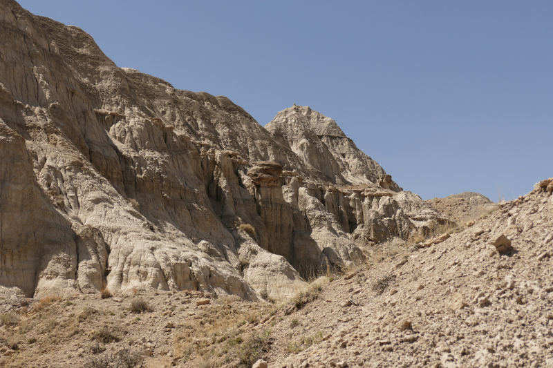 USA Hiking Database: Bilder Lybrook Fossil Area aka. Lybrook Badlands [Alamito Arroyo - San Juan Basin] - Pictures Lybrook Fossil Area aka. Lybrook Badlands [Alamito Arroyo - San Juan Basin]