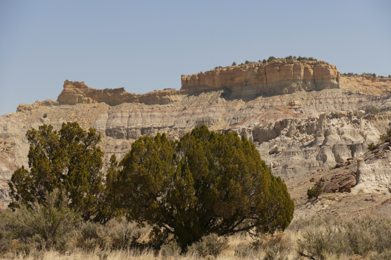 USA Hiking Database: Bilder Lybrook Fossil Area aka. Lybrook Badlands [Alamito Arroyo - San Juan Basin] - Pictures Lybrook Fossil Area aka. Lybrook Badlands [Alamito Arroyo - San Juan Basin]