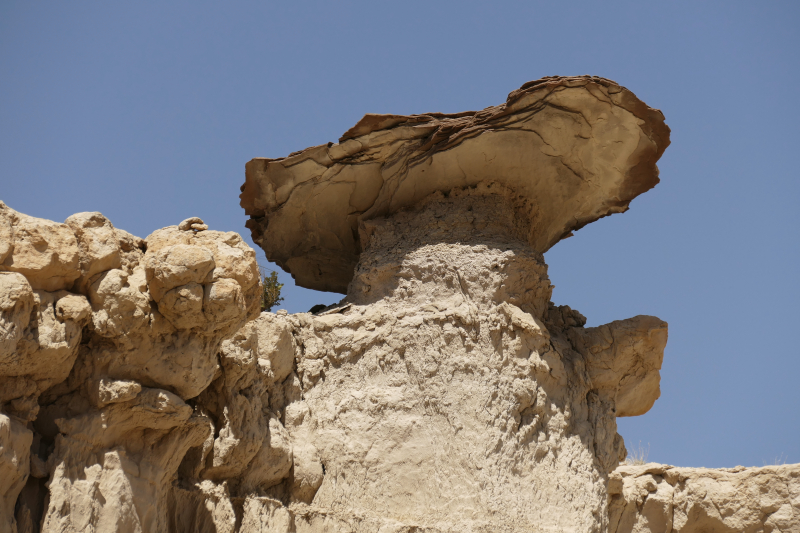 USA Hiking Database: Bilder Lybrook Fossil Area aka. Lybrook Badlands [Alamito Arroyo - San Juan Basin] - Pictures Lybrook Fossil Area aka. Lybrook Badlands [Alamito Arroyo - San Juan Basin]