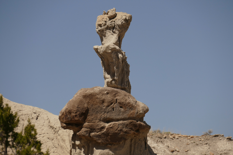 USA Hiking Database: Bilder Lybrook Fossil Area aka. Lybrook Badlands [Alamito Arroyo - San Juan Basin] - Pictures Lybrook Fossil Area aka. Lybrook Badlands [Alamito Arroyo - San Juan Basin]