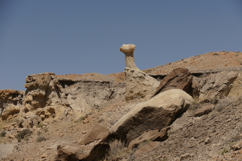 USA Hiking Database: Bilder Lybrook Fossil Area aka. Lybrook Badlands [Alamito Arroyo - San Juan Basin] - Pictures Lybrook Fossil Area aka. Lybrook Badlands [Alamito Arroyo - San Juan Basin]