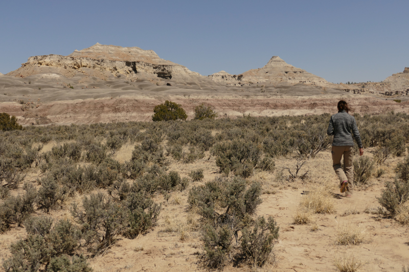 USA Hiking Database: Bilder Lybrook Fossil Area aka. Lybrook Badlands [Alamito Arroyo - San Juan Basin] - Pictures Lybrook Fossil Area aka. Lybrook Badlands [Alamito Arroyo - San Juan Basin]