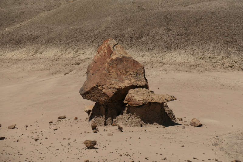 USA Hiking Database: Bilder Lybrook Fossil Area aka. Lybrook Badlands [Alamito Arroyo - San Juan Basin] - Pictures Lybrook Fossil Area aka. Lybrook Badlands [Alamito Arroyo - San Juan Basin]