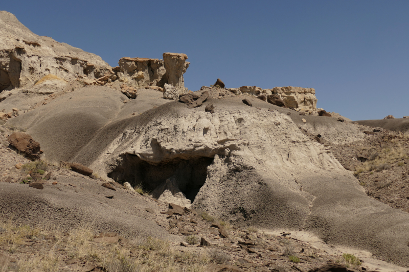 USA Hiking Database: Bilder Lybrook Fossil Area aka. Lybrook Badlands [Alamito Arroyo - San Juan Basin] - Pictures Lybrook Fossil Area aka. Lybrook Badlands [Alamito Arroyo - San Juan Basin]