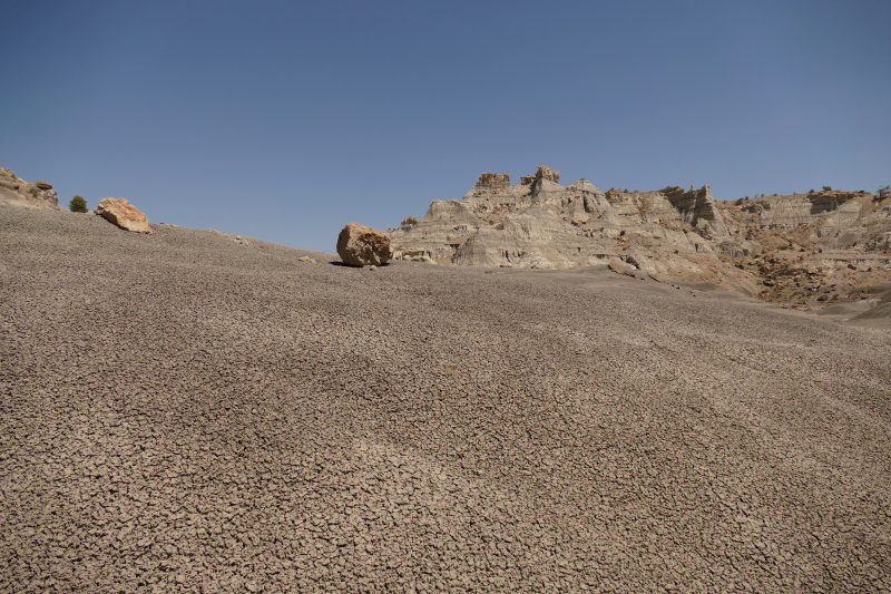 USA Hiking Database: Bilder Lybrook Fossil Area aka. Lybrook Badlands [Alamito Arroyo - San Juan Basin] - Pictures Lybrook Fossil Area aka. Lybrook Badlands [Alamito Arroyo - San Juan Basin]