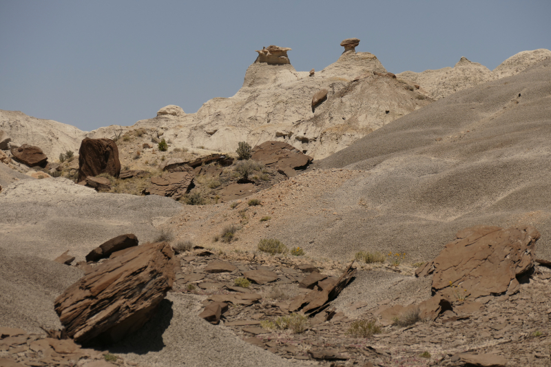 USA Hiking Database: Bilder Lybrook Fossil Area aka. Lybrook Badlands [Alamito Arroyo - San Juan Basin] - Pictures Lybrook Fossil Area aka. Lybrook Badlands [Alamito Arroyo - San Juan Basin]