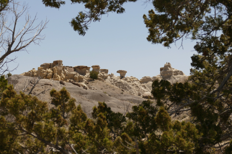 USA Hiking Database: Bilder Lybrook Fossil Area aka. Lybrook Badlands [Alamito Arroyo - San Juan Basin] - Pictures Lybrook Fossil Area aka. Lybrook Badlands [Alamito Arroyo - San Juan Basin]