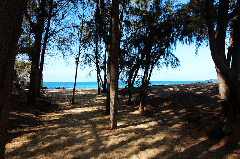 Mahaulepu Heritage Trail