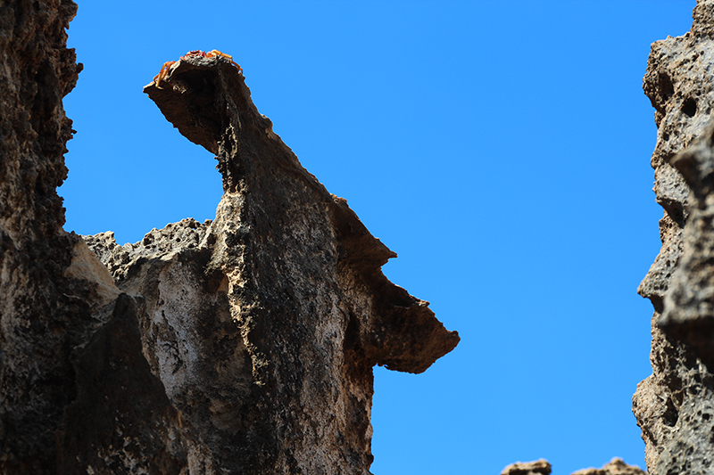 Mahaulepu Heritage Trail