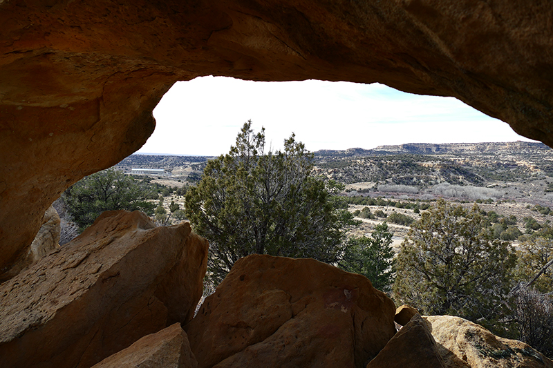 Manga Canyon