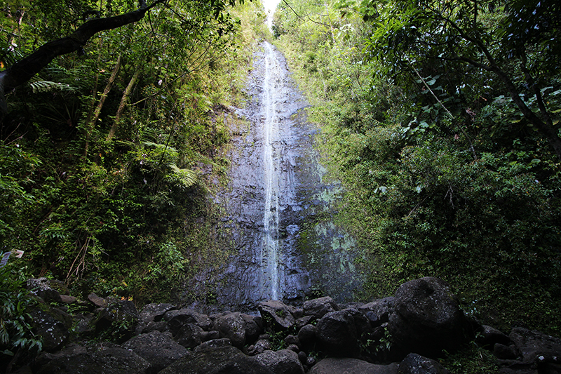 Manoa Falls Oahu Hawaii